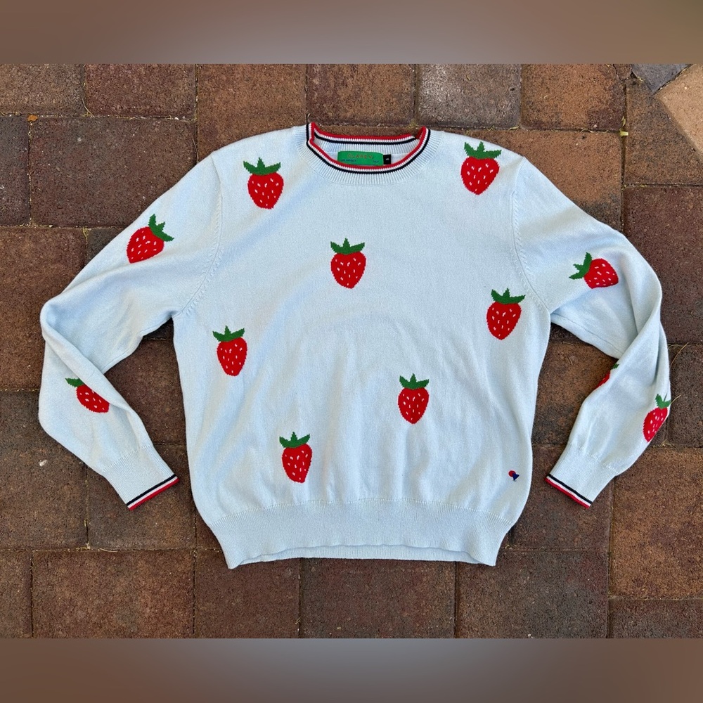 Clare V Light Blue Strawberry Sweater